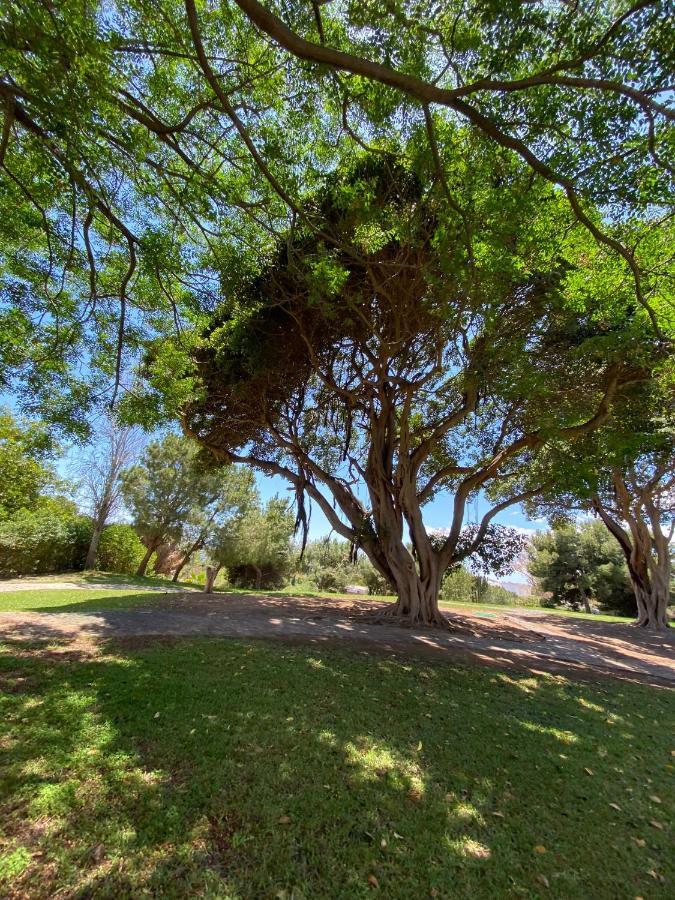 בנאלמדנה Apt Con Espectacular Vista, Piscinas, Recep 24 Hs מראה חיצוני תמונה